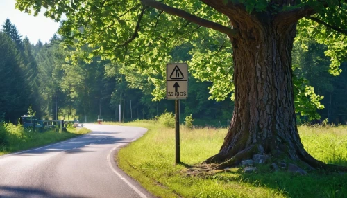 forest road,crooked road sign,country road,road-sign,bicycle path,aaa,roadsign,bicycle sign,road signs,speed limit,priority road,road,curvy road sign,cross-country cycling,road sign,roadsigns,mountain road,tree lined lane,bicycle lane,uneven road,Photography,General,Realistic