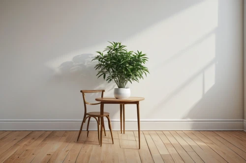 ikebana,houseplant,floor lamp,potted plant,wall,danish furniture,bamboo plants,potted tree,wood daisy background,intensely green hornbeam wallpaper,house plants,indoor plant,hanging plant,wooden background,wood background,product photos,hardwood floors,dark green plant,chair png,wooden flower pot,Photography,Documentary Photography,Documentary Photography 34