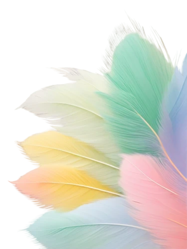 color feathers,parrot feathers,feathers,peacock feathers,feather,feather headdress,feather boa,flowers png,feather carnation,peacock feather,watercolor tassels,chicken feather,beak feathers,bird feather,ostrich feather,pigeon feather,tulle,prince of wales feathers,flower ribbon,bird of paradise,Photography,Fashion Photography,Fashion Photography 25
