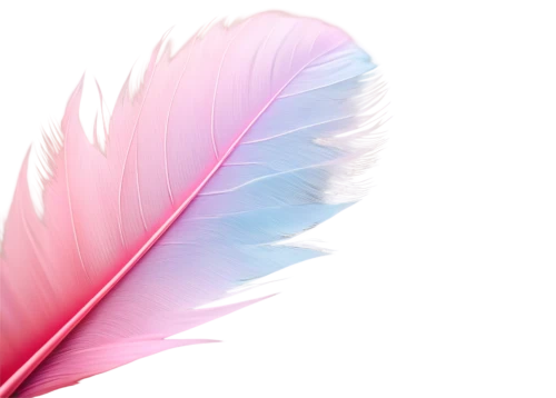 pink quill,feather,color feathers,bird feather,feather carnation,feathers,white feather,parrot feathers,chicken feather,feathers bird,feather pen,swan feather,winged heart,pigeon feather,feather jewelry,breast cancer ribbon,spring leaf background,feather on water,feather headdress,angel wing,Art,Artistic Painting,Artistic Painting 35