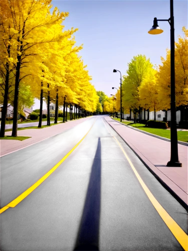 tree lined lane,tree-lined avenue,background vector,road surface,bicycle path,maple road,racing road,bicycle lane,road,city highway,empty road,pedestrian lights,tram road,car free,vanishing point,roadway,virtual landscape,boulevard,avenue,yellow wall,Illustration,Black and White,Black and White 21