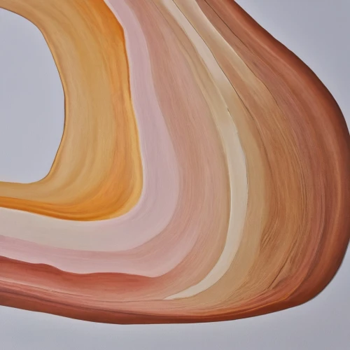 coral swirl,gradient mesh,agate,sinuous,painted eggshell,watercolor paint strokes,peach color,gold-pink earthy colors,abstract air backdrop,swirl,swirls,watercolor seashells,swirling,colorful spiral,volute,agate carnelian,circle paint,fibonacci spiral,curlicue,colored pencil background