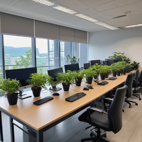 bamboo plants,conference room table,forest workplace,conference room,norfolk island pine,conference table,bellenplant,meeting room,furnished office,thuja,ordinary boxwood beech trees,saplings,hanging plants,serviced office,green plants,board room,fern plant,plants growing,plant community,sky ladder plant