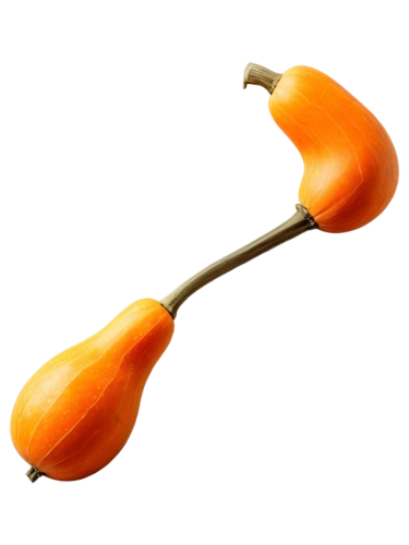 orange trumpet,solanaceae,bellpepper,valencia orange,serrano pepper,calabaza,scarlet gourd,schisandraceae,bitter gourd,cucurbita,butternut squash,convolvulaceae,turkestan tulip,physalis,fabaceae,serrano peppers,italian sweet pepper,butternut,kumquat,carambola,Illustration,Japanese style,Japanese Style 11