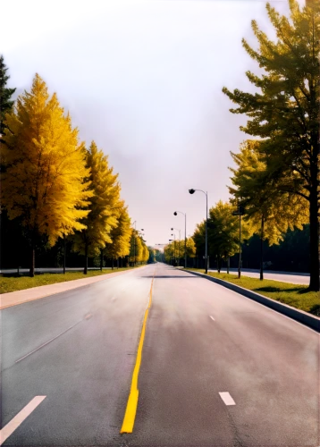 empty road,tree-lined avenue,tree lined lane,racing road,road,city highway,photo painting,forest road,road surface,maple road,the road,roadway,landscape background,colored pencil background,world digital painting,open road,boulevard,background vector,autumn scenery,autumn background,Photography,Documentary Photography,Documentary Photography 08