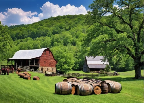 wine barrels,round bales,bales of hay,hay barrel,wine barrel,log home,farm landscape,wood and grapes,pasture fence,hay bales,mountain meadow hay,rustic,farmstead,round barn,barns,hay stack,west virginia,vermont,country style,southern wine route,Illustration,American Style,American Style 04