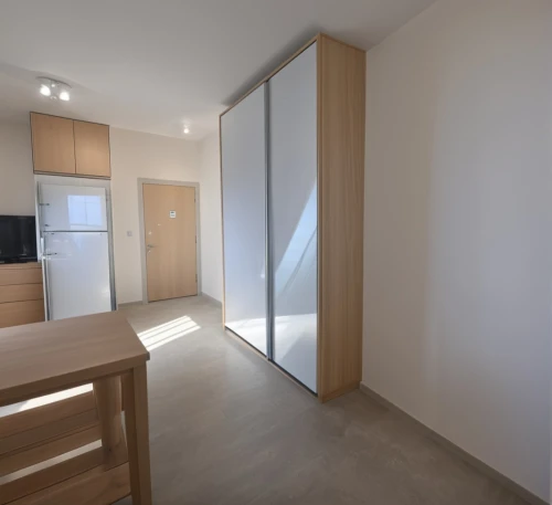 sliding door,modern room,room divider,walk-in closet,hallway space,hinged doors,shared apartment,window blind,apartment,recessed,japanese-style room,search interior solutions,one-room,3d rendering,laminate flooring,laminated wood,daylighting,sky apartment,home door,modern kitchen interior