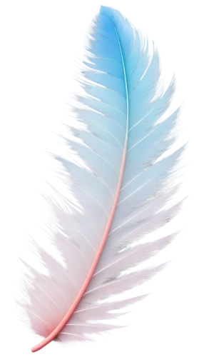 peacock feather,feather,pigeon feather,swan feather,bird feather,chicken feather,white feather,parrot feathers,hawk feather,feather pen,peacock feathers,feather on water,ostrich feather,color feathers,feather jewelry,feather bristle grass,feathers,feather headdress,feathers bird,pink quill,Illustration,Realistic Fantasy,Realistic Fantasy 17