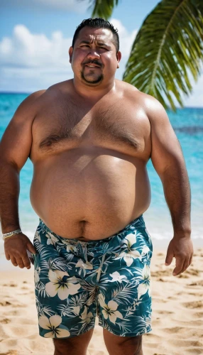 greek,luau,aloha,kapparis,greek in a circle,polynesian,hawaiian,keto,makake,beach background,hawaiian food,samoa,fat,moana,kuta,hula,yo-kai,png transparent,maui,merman,Photography,General,Realistic