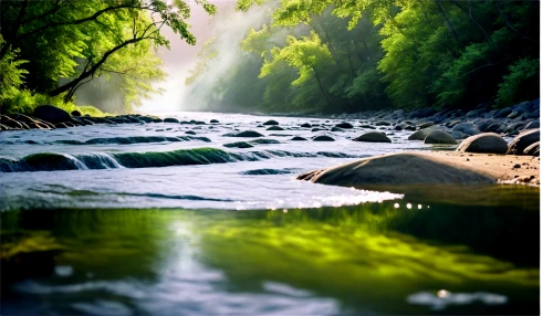 aaa,flowing water,green waterfall,green trees with water,river landscape,green water,mountain stream,clear stream,aa,flowing creek,background view nature,mountain river,water flowing,natural scenery,the natural scenery,a river,landscapes beautiful,streams,patrol,freshwater,Illustration,Children,Children 06