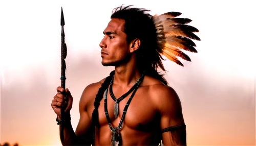 the american indian,american indian,amerindien,native american,cherokee,aborigine,tribal chief,native,aboriginal,indigenous,red cloud,chief cook,first nation,indigenous culture,aboriginal culture,shamanism,war bonnet,anasazi,aborigines,arrowheads,Illustration,Black and White,Black and White 33