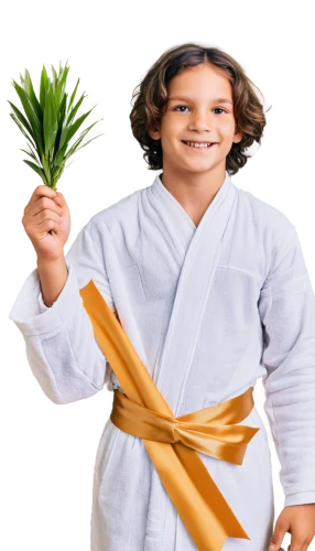 palm sunday,naturopathy,homeopathically,judo,flowers png,ikebana,ayurveda,karate,culinary herbs,medicinal plants,novruz,coconut leaf,nori,wheat grass,palm oil,sweet grass plant,trampolining--equipment and supplies,ananas,rosemary,jujitsu,Conceptual Art,Graffiti Art,Graffiti Art 11