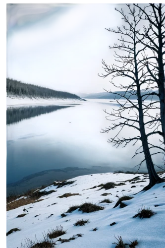 winter lake,winter landscape,snow landscape,frozen lake,snowy landscape,wintry,winter background,finnish lapland,ice landscape,winter forest,glacial lake,nordland,ladybower reservoir,trossachs national park - dunblane,landscape photography,tarn,snowfield,winter dream,christmas landscape,lapland,Illustration,American Style,American Style 10