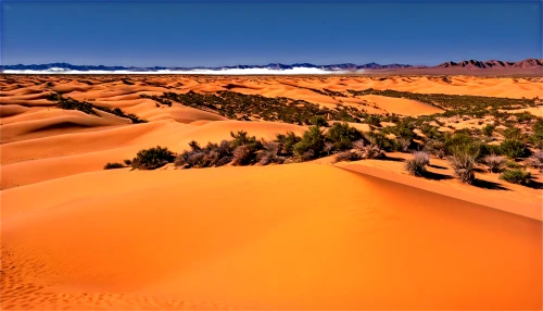 libyan desert,desert desert landscape,gobi desert,desert landscape,sahara desert,namib desert,dune landscape,sand dunes,argentina desert,arid landscape,sahara,merzouga,the gobi desert,namib,crescent dunes,capture desert,the sand dunes,admer dune,dunes national park,sossusvlei,Illustration,Black and White,Black and White 18