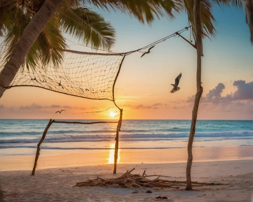 hammock,hammocks,fishing nets,fishing net,dominican republic,volleyball net,dream beach,bird protection net,hanging chair,caribbean,caribbean beach,the caribbean,cuba beach,sunrise beach,dreams catcher,swing set,hanging swing,empty swing,deckchair,cuba background,Illustration,Realistic Fantasy,Realistic Fantasy 02