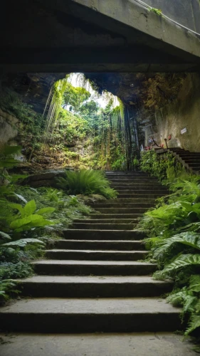 tunnel of plants,stone stairway,torii tunnel,plant tunnel,the mystical path,lava tube,underground,stone stairs,winding steps,the limestone cave entrance,lost place,abandoned places,underpass,stairway,tunnel,abandoned place,underground garage,aaa,stairs,ascending