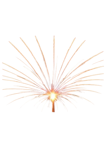 fireworks rockets,pyrotechnic,optical fiber,fireworks art,firework,hand draw vector arrows,fiber optic light,turn of the year sparkler,fireworks background,thermocouple,fireworks,flowers png,coaxial cable,sparking plub,optical fiber cable,missing particle,shower of sparks,sparkler,trajectory of the star,sparks,Conceptual Art,Fantasy,Fantasy 09