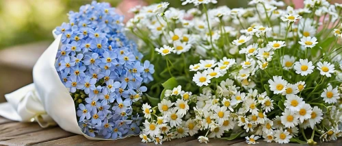 white grape hyacinths,heath aster,flowers in basket,blue daisies,spring bouquet,australian daisies,spring flowers,daisies,forget-me-nots,spring bloomers,daffodils,muscari armeniacum,blue flowers,alpine forget-me-not,white daisies,daisy flowers,marguerite daisy,basket with flowers,flower basket,garden flowers,Photography,Documentary Photography,Documentary Photography 33