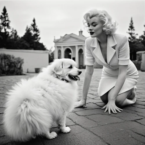 marylin monroe,vanity fair,marilyn,gena rolands-hollywood,marylyn monroe - female,beauty icons,vintage 1950s,joan crawford-hollywood,vogue,sustainability icons,girl with dog,madonna,merilyn monroe,dita,beverly hills hotel,admired,cruella de ville,mamie van doren,1950s,50's style,Photography,Black and white photography,Black and White Photography 01