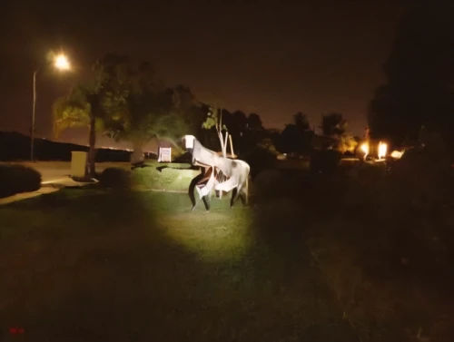 albino horse,horse and buggy,horse and cart,glowing antlers,long exposure light,electric donkey,a white horse,horsehead,horse drawn,night photography,drone phantom 3,horse running,horse carriage,horse-drawn,longexposure,the horse at the fountain,two-horses,dji spark,horse drawn carriage,bicycle lighting