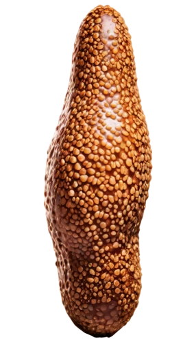 acorn,egg,brown egg,chocolate-coated peanut,pepper shaker,malagueta pepper,pepper mill,soy egg,chia,soy nut,roasted chestnut,bitter gourd,avo,tapaboca,yam,peppercorn,avacado,salak,chocolate-covered coffee bean,tabasco pepper,Illustration,American Style,American Style 04