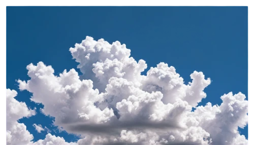 towering cumulus clouds observed,cumulus cloud,cloud mushroom,cumulus nimbus,cloud image,cumulus clouds,cumulus,cloud formation,cloud shape frame,cloud shape,cloud towers,cloudscape,cumulonimbus,single cloud,schäfchenwolke,blue sky and clouds,blue sky and white clouds,about clouds,cloud play,thunderhead,Illustration,Vector,Vector 13