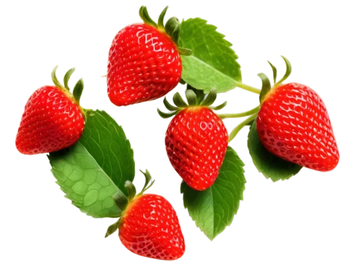 alpine strawberry,strawberry plant,strawberry ripe,strawberries,strawberry,virginia strawberry,red strawberry,west indian raspberry ,west indian raspberry,berry fruit,strawberry tree,mock strawberry,mollberry,native raspberry,strawberries falcon,salad of strawberries,strawberry flower,red berry,berries,nannyberry,Conceptual Art,Sci-Fi,Sci-Fi 05