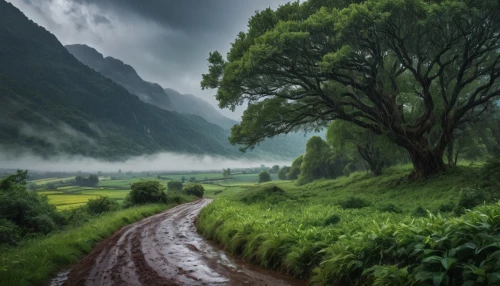 green landscape,foggy landscape,nature landscape,monsoon,green trees with water,isolated tree,green trees,landscape nature,green forest,vietnam,rural landscape,tree lined lane,tree lined,tree lined path,beautiful landscape,row of trees,mountain pasture,aaa,mountain landscape,landscape background,Photography,General,Natural
