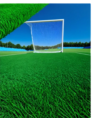 artificial turf,artificial grass,soccer field,football pitch,quail grass,field lacrosse,soccer-specific stadium,athletic field,score a goal,playing field,football field,field hockey,goalkeeper,penalty card,corner ball,turf,grass blades,pallone,shot on goal,soccer,Conceptual Art,Daily,Daily 07