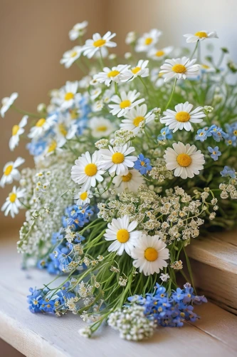 marguerite daisy,camomile flower,marguerite,chamomile,flowers in basket,daisies,mayweed,daisy flowers,white daisies,oxeye daisy,blue daisies,camomile,australian daisies,wood daisy background,forget-me-nots,heath aster,gypsophila,spring bouquet,flower bouquet,forget-me-not,Art,Classical Oil Painting,Classical Oil Painting 17