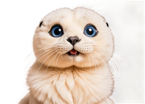 scottish fold,cartoon cat,cat with blue eyes,cat vector,siamese cat,cat-ketch,ragdoll,cat nose,blue eyes cat,doll cat,cat image,cute cat,schleich,cat portrait,cat cartoon,cat,drawing cat,cat kawaii,cat drawings,cat face,Illustration,Vector,Vector 16