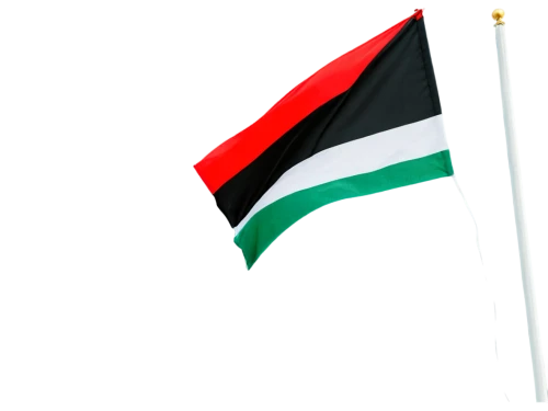 flag of uae,uae flag,united arab emirates flag,uae,sudan,united arab emirates,united arab emirate,kuwait,abu-dhabi,libya,omani,greed,abu dhabi,bulgaria flag,national flag,dhabi,pure-blood arab,hd flag,oman,khartoum,Art,Classical Oil Painting,Classical Oil Painting 23