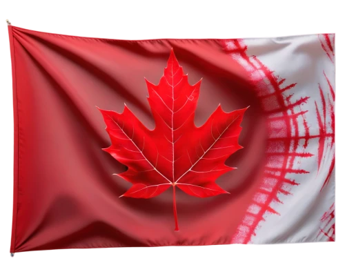 canadian flag,maple leaf red,canada cad,canadas,buy weed canada,canada,maple leaf,las canadas,hd flag,red maple leaf,canadian dollar,swiss flag,canadian,canada air,west canada,british columbia,canadian fir,canadian football,country flag,national flag,Conceptual Art,Sci-Fi,Sci-Fi 17