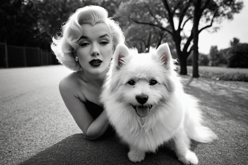 great pyrenees,marylin monroe,mamie van doren,samoyed,berger blanc suisse,pin up,white shepherd,pin-up,canines,maremma sheepdog,pin ups,white dog,marilyn,pin-up girls,pin up girls,retro pin up girls,vintage boy and girl,pin-up model,pinup girl,pin up girl,Photography,Black and white photography,Black and White Photography 01