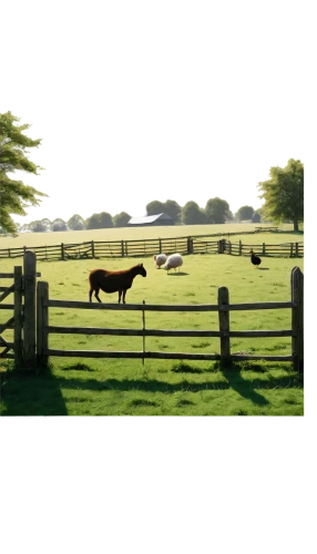 livestock farming,cows on pasture,farm background,domestic cattle,pasture,galloway cattle,simmental cattle,beef breed international,pasture fence,holstein cattle,livestock,beef cattle,ruminants,farm landscape,horse breeding,stock farming,pony farm,cattle trough,cow meadow,farm animals,Illustration,Realistic Fantasy,Realistic Fantasy 11
