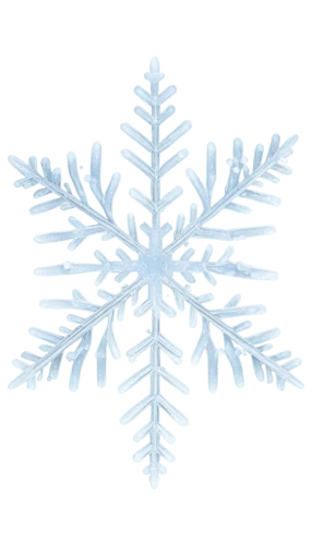 snowflake background,christmas snowflake banner,blue snowflake,wreath vector,snow flake,snowflake,white snowflake,christmas snowy background,weather icon,winter background,snowflakes,christmas tree pattern,gold foil snowflake,ice crystal,blue spruce,snowflake cookies,snow drawing,christmas pattern,treemsnow,palm tree vector,Photography,Black and white photography,Black and White Photography 13