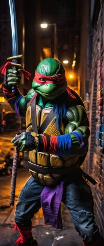 teenage mutant ninja turtles,raphael,michelangelo,leonardo,trachemys,lopushok,eskrima,turtle,kung fu,cosplay image,turtles,trachemys scripta,reptillian,scales of justice,fighting stance,half shell,painted turtle,shredder,stacked turtles,splinter,Art,Classical Oil Painting,Classical Oil Painting 38