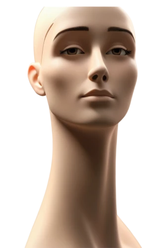 articulated manikin,human head,a wax dummy,manikin,neck,artist's mannequin,wooden mannequin,3d model,head woman,woman's face,mannequin,doll's facial features,artificial hair integrations,violin neck,woman face,humanoid,gradient mesh,3d rendered,bust,cgi,Art,Artistic Painting,Artistic Painting 34