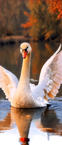 dove of peace,gooseander,snow goose,ornamental duck,cayuga duck,larus,western gull,nile goose,goose,sea-gull,geese,duck on the water,seagull,water fowl,duck,waterfowl,duck bird,indian sea gull,large white-headed gull,canadian goose,Illustration,Realistic Fantasy,Realistic Fantasy 30