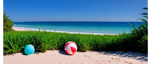 beach grass,nest easter,beach ball,beach shell,easter background,colored eggs,dream beach,beach landscape,painted eggs,beautiful beaches,life buoy,the beach-grass elke,beach furniture,blue sea shell pattern,beach glass,sea shells,beautiful beach,easter eggs,beach background,happy easter hunt,Illustration,Black and White,Black and White 24