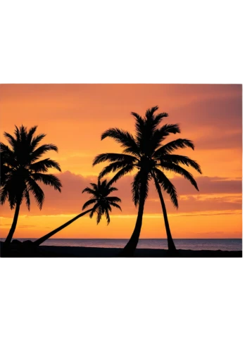 palm tree vector,palm tree silhouette,coconut palms,palm silhouettes,palmtrees,palm fronds,two palms,watercolor palm trees,coconut palm tree,coconut trees,palmetto coasts,palms,palm tree,royal palms,palmtree,sunset beach,palm trees,sunburst background,tropical floral background,beach background,Art,Classical Oil Painting,Classical Oil Painting 14