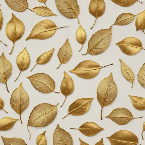 gold leaves,gold foil laurel,leaf background,spring leaf background,autumn leaf paper,golden leaf,gold foil shapes,autumn pattern,leaf pattern,leaf icons,leaf drawing,dried leaves,blossom gold foil,embroidered leaves,lemon wallpaper,autumn gold,acorn leaves,autumn background,gum leaves,floral digital background,Photography,General,Realistic