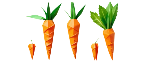 carrot pattern,carrots,carrot,root vegetable,big carrot,carrot print,vegetable outlines,root vegetables,carrot salad,love carrot,baby carrot,root crop,defense,strelitzia,crudités,calçot,celery stalk,kawaii vegetables,skirret,patrol,Unique,Paper Cuts,Paper Cuts 02