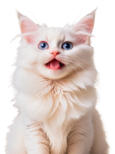 funny cat,cute cat,birman,cat vector,cat image,cat,cat tongue,white cat,turkish van,cats angora,meowing,turkish angora,breed cat,cartoon cat,napoleon cat,mow,emogi,puss,cat kawaii,pink cat,Illustration,Abstract Fantasy,Abstract Fantasy 10