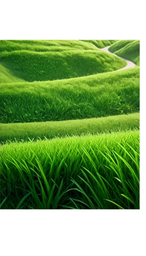 wheatgrass,ricefield,wheat germ grass,wheat grass,rice field,block of grass,green grain,artificial grass,rice paddies,green landscape,rice fields,the rice field,tea plantation,green fields,paddy field,tea field,tea plantations,green wallpaper,green grass,yamada's rice fields,Photography,General,Sci-Fi