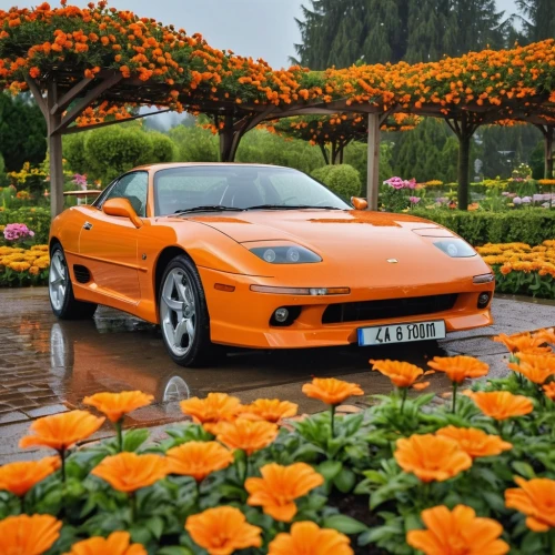 flower car,ferrari 550,lotus,mitsubishi gto,chevrolet corvette c6 zr1,lotus 20,lotus elise,lotus 25,ferrari 550 maranello,lotus 2-eleven,ferrari 360,orange trumpet,chevrolet corvette,tesla roadster,lotus evora,toyota mr2,mitsubishi fto,orange lily,lotus 30,orange,Photography,General,Realistic