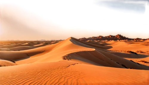 libyan desert,desert desert landscape,desert landscape,sahara desert,arid landscape,desert background,desertification,capture desert,dune landscape,sahara,namib desert,namib,admer dune,desert,gobi desert,dubai desert,arid land,arid,desert planet,merzouga,Illustration,Realistic Fantasy,Realistic Fantasy 02