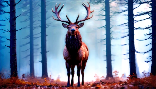 deer illustration,whitetail,forest animal,red deer,stag,whitetail buck,antler velvet,male deer,elk,pere davids male deer,european deer,manchurian stag,winter deer,deer,glowing antlers,pere davids deer,buffalo plaid antlers,deers,buffalo plaid deer,antler,Conceptual Art,Sci-Fi,Sci-Fi 27