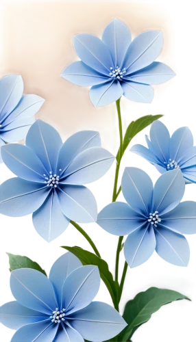 flowers png,blue butterfly background,blue daisies,plumbago,flower background,blue flowers,blue petals,paper flower background,blue flower,wood daisy background,forget-me-nots,flower illustrative,myosotis,forget-me-not,minimalist flowers,blue flax,mountain bluets,dayflower,anemone blanda,windflower,Unique,Paper Cuts,Paper Cuts 03