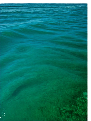 emerald sea,green water,shallows,water surface,seawater,sea water,blue waters,green algae,blue water,pool water surface,the shallow sea,blue sea,ocean underwater,great lakes,underwater landscape,sea level,seamount,ionian sea,seabed,water waves,Illustration,American Style,American Style 09